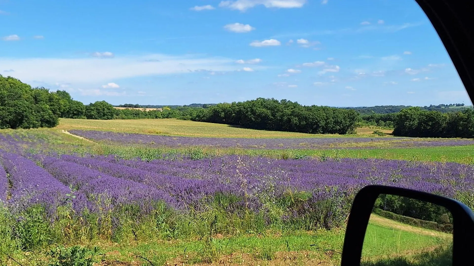 Hotel Glamping Zelt Auf Reiterhof Montaigu-de-Quercy 0*,